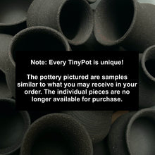 Load image into Gallery viewer, Desert Mix (5 pots)