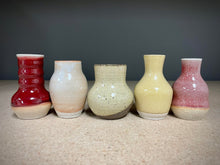 Load image into Gallery viewer, Desert Mix (5 pots)