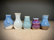 Load image into Gallery viewer, Ocean Mix (5 pots)