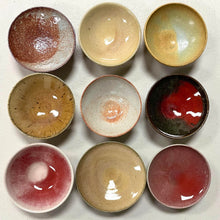 Load image into Gallery viewer, Desert Mix (5 pots)