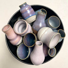 Load image into Gallery viewer, Sunset Mix (5 pots)