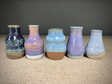 Load image into Gallery viewer, Sunset Mix (5 pots)
