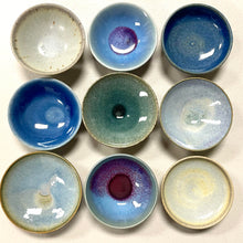 Load image into Gallery viewer, Ocean Mix (5 pots)