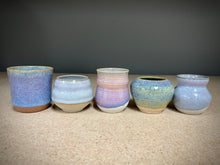 Load image into Gallery viewer, Sunset Mix (5 pots)
