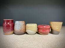 Load image into Gallery viewer, Desert Mix (5 pots)